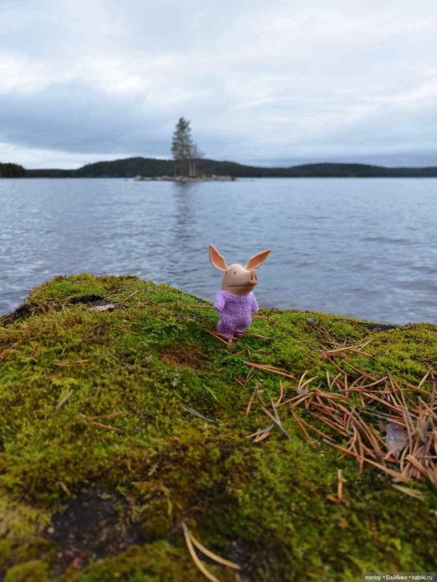 Мой карманный компаньен. Свинка Оливия