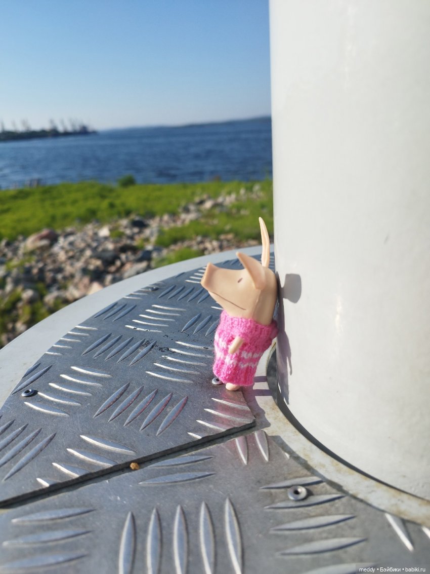 Мой карманный компаньен. Свинка Оливия