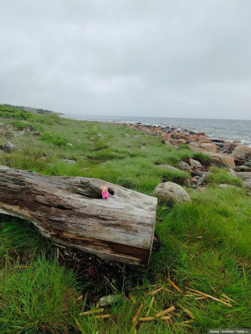 Мой карманный компаньен. Свинка Оливия