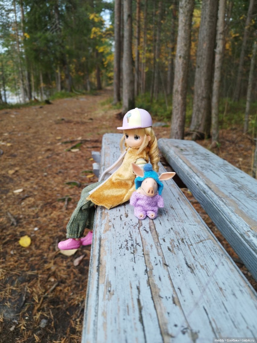 Мой карманный компаньен. Свинка Оливия