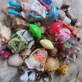 Мои любимые лягухи ( Wonder Frog) Прибавление...