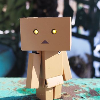 Моя любимая коробочка...Danbo