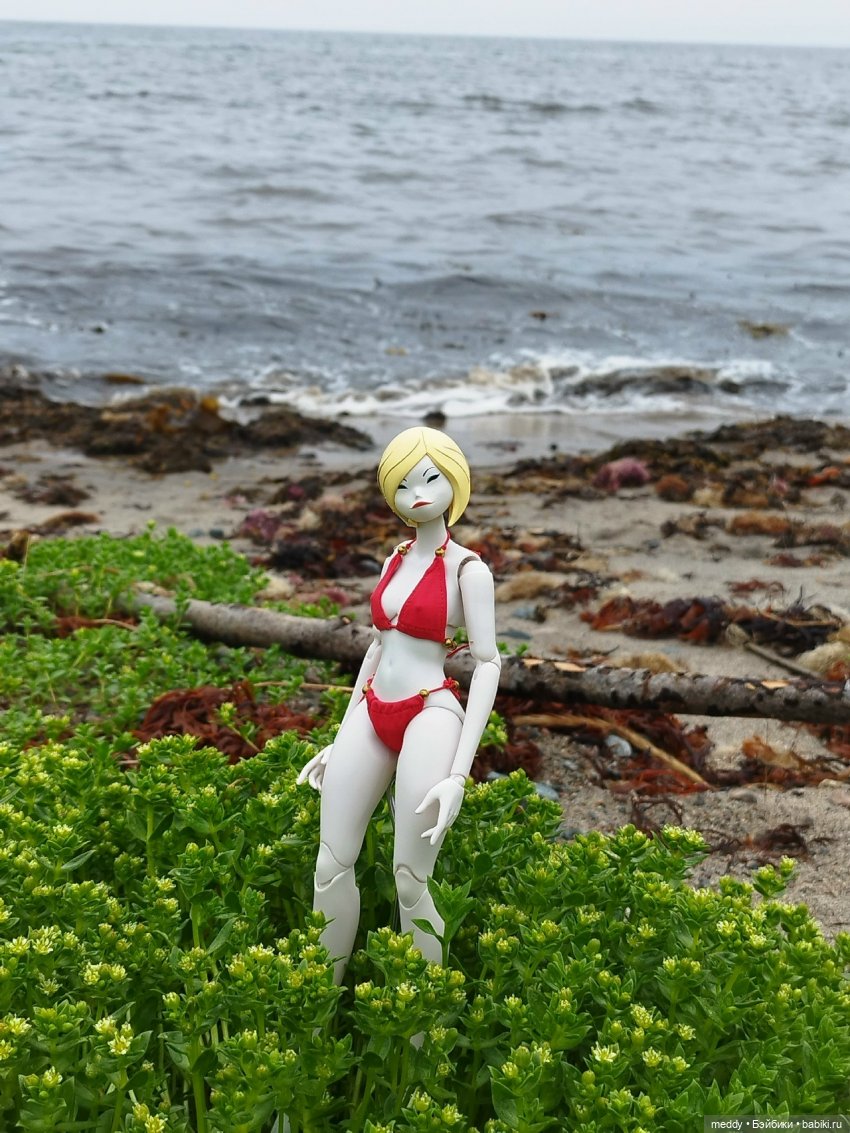 Хроники Исабель. Воспоминание о лете