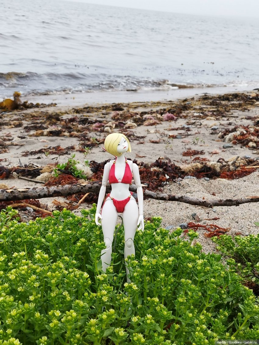 Хроники Исабель. Воспоминание о лете