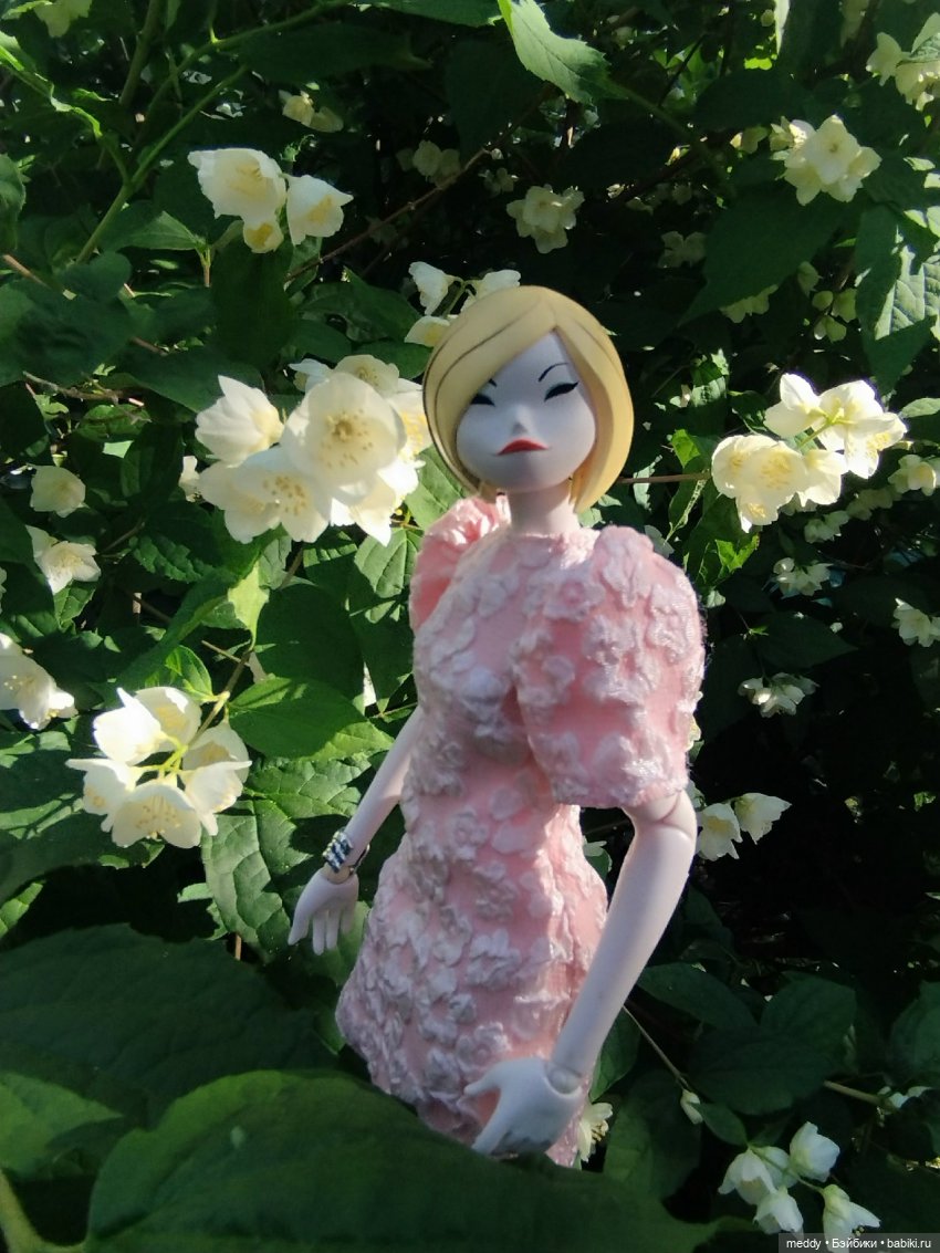 Хроники Исабель. Воспоминание о лете