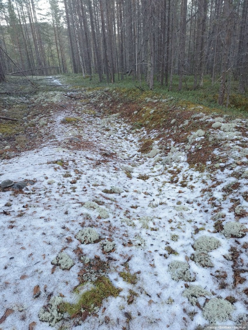 Хроники Исабель. Воспоминание о лете (фото 5)