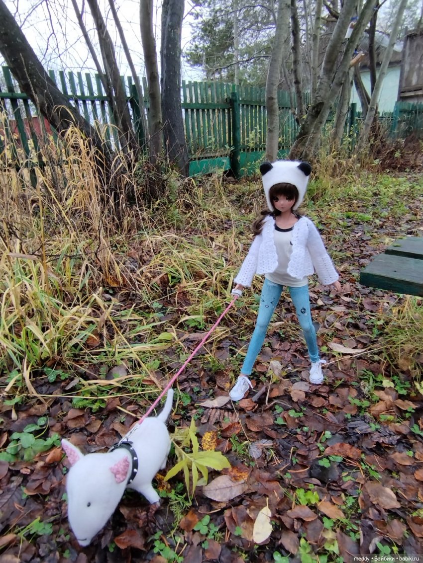 Мои обожаемые девочки Smart Doll (фото 6)