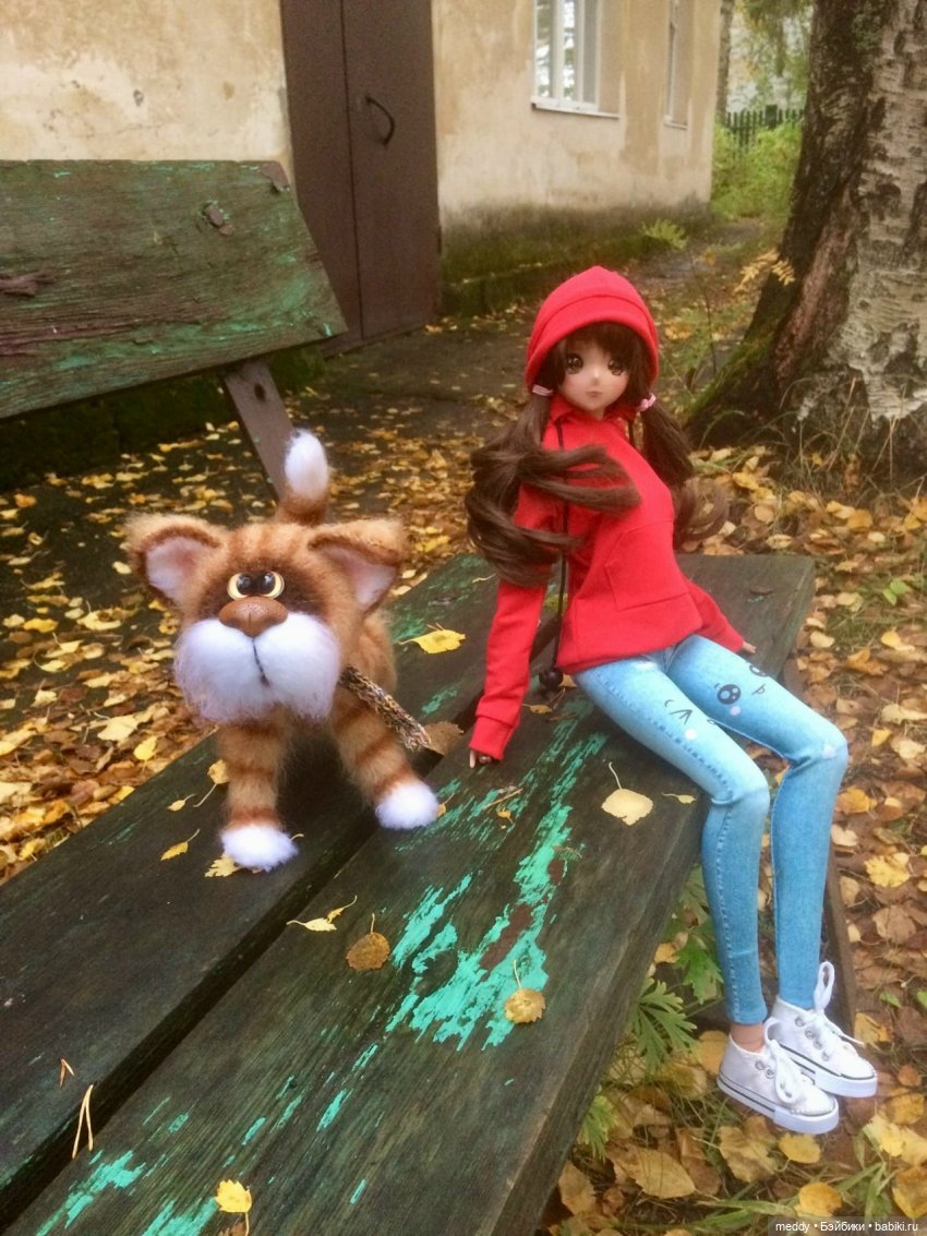 Мои обожаемые девочки Smart Doll