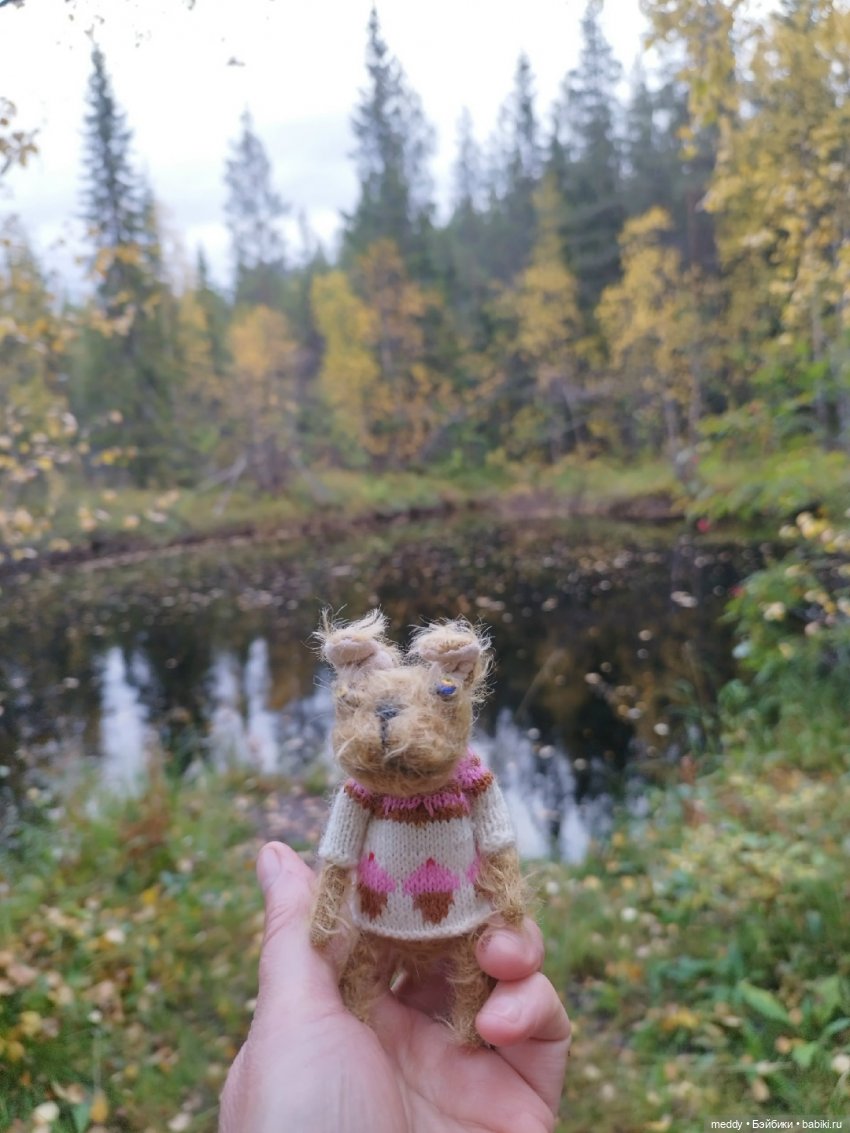 Наша маленькая Собачка Луша