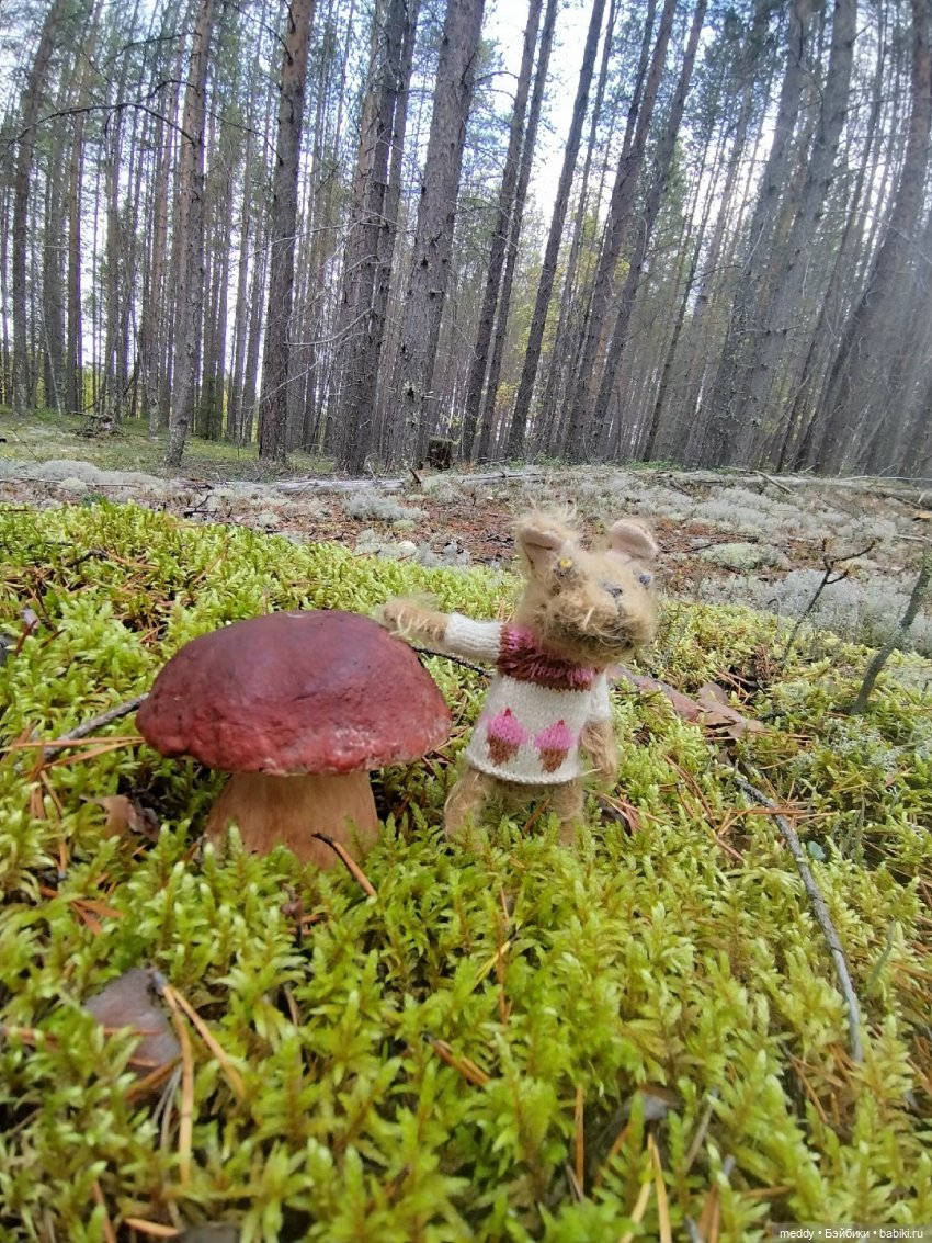 Наша маленькая Собачка Луша (фото 5)