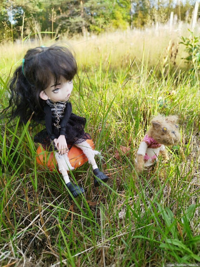 Наша маленькая Собачка Луша (фото 10)