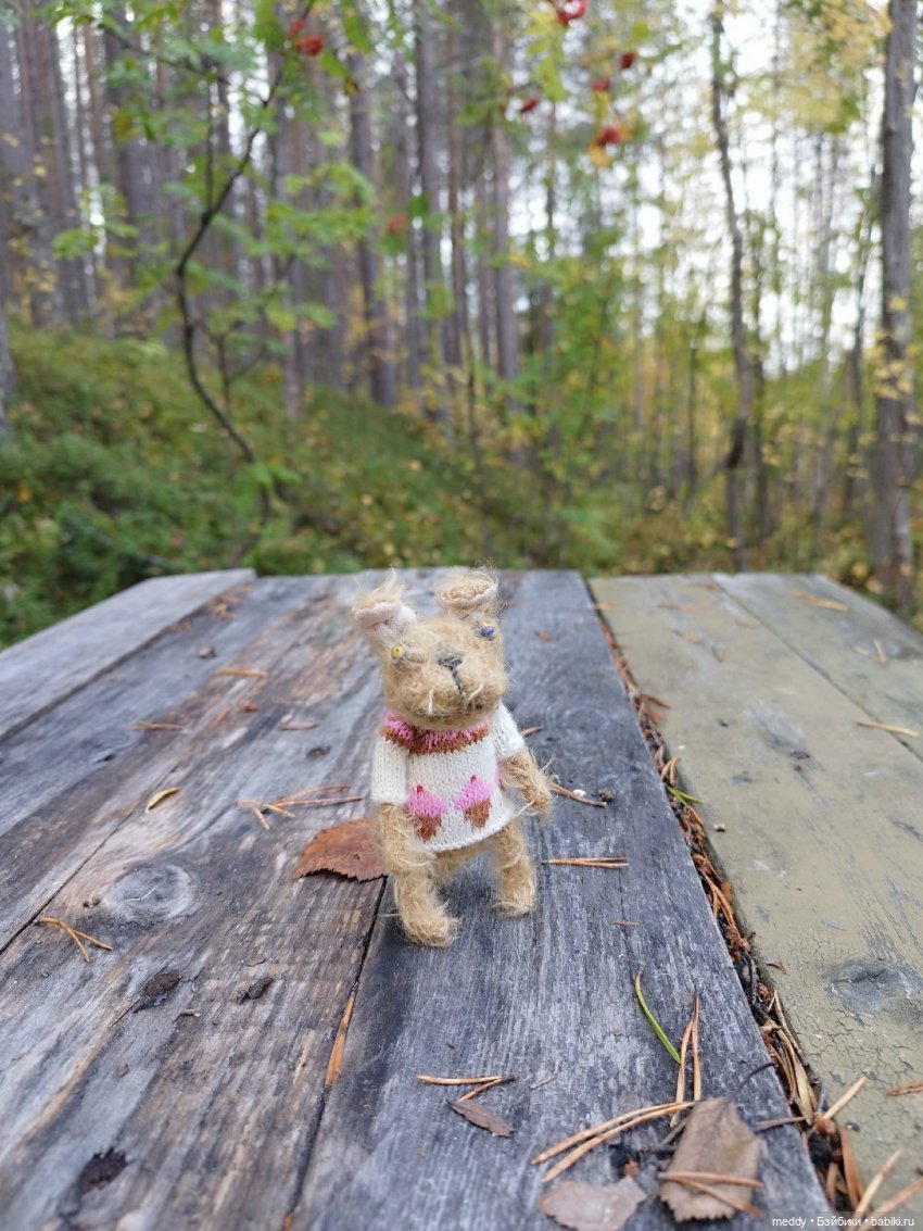 Наша маленькая Собачка Луша (фото 6)