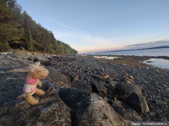 Наша маленькая Собачка Луша (фото 3)