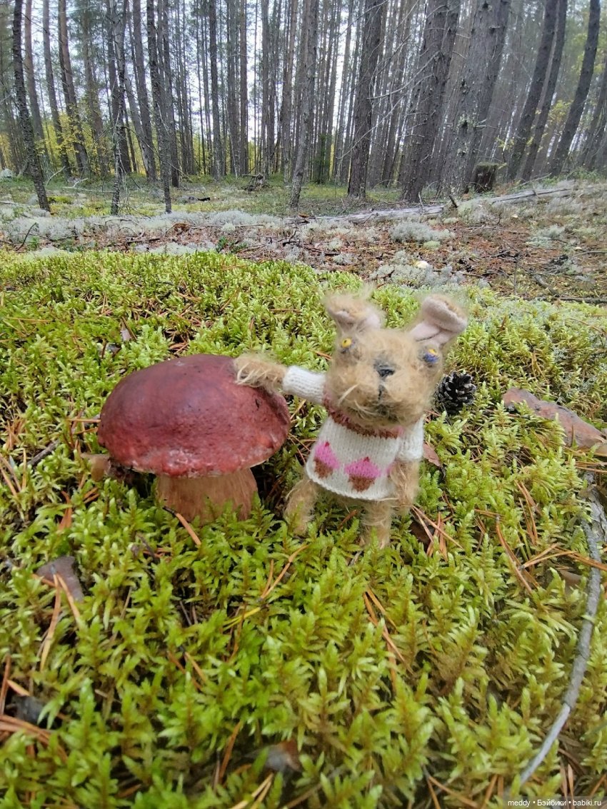 Наша маленькая Собачка Луша (фото 4)