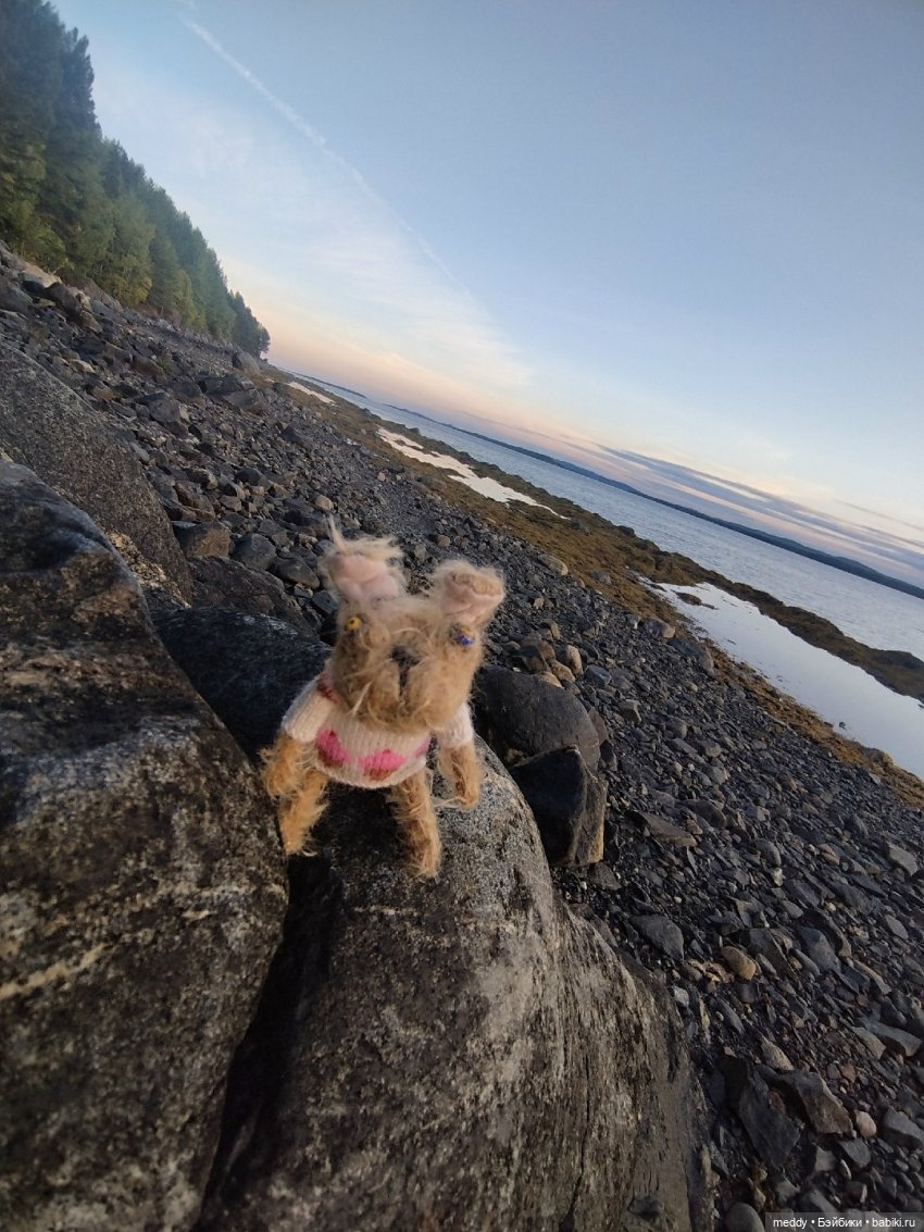 Наша маленькая Собачка Луша (фото 2)