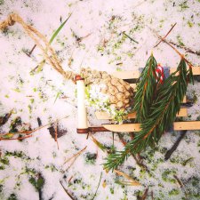 Эми, Ёлка и поход в лес