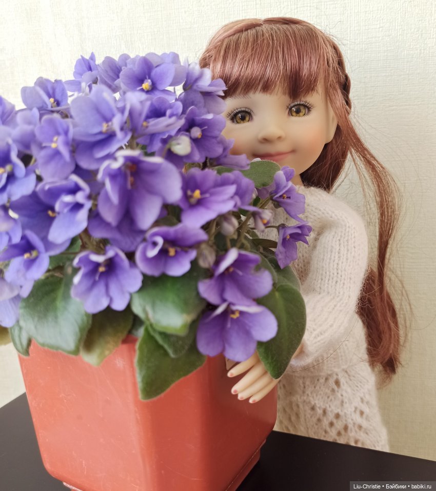 Одежда для Бэллы — Куклы Ruby Red (Руби Ред) Fashion Friends: Siblies (фото 8)