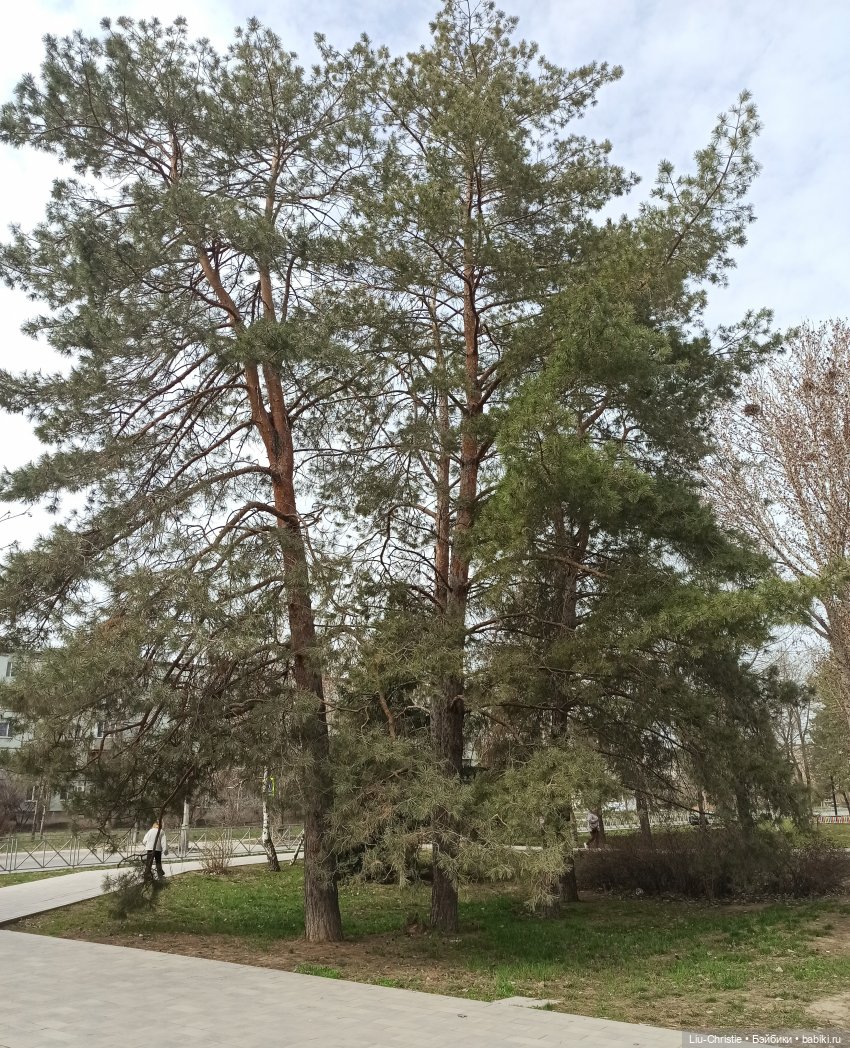 Первая прогулка — Куклы Ruby Red (Руби Ред) Fashion Friends: Siblies