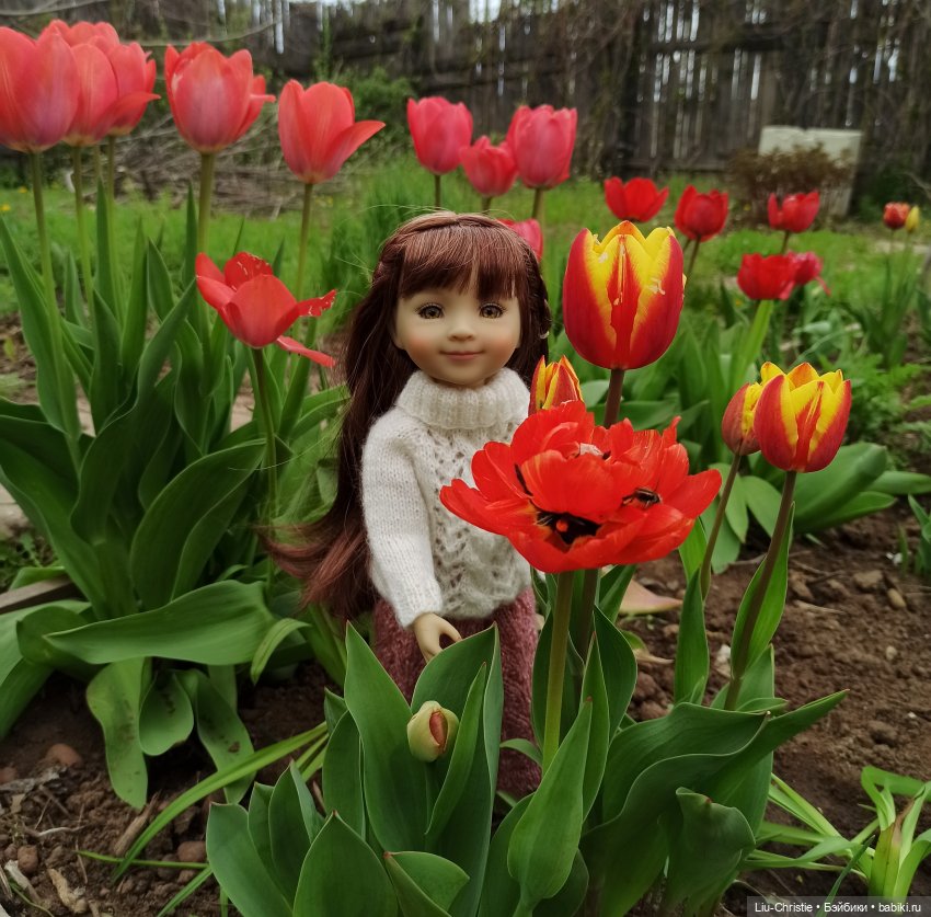Весна. Тюльпаны. Бэлла | Бэйбики Весна. Тюльпаны. Бэлла — Куклы Ruby Red (Руби Ред) Fashion Friends: Siblies