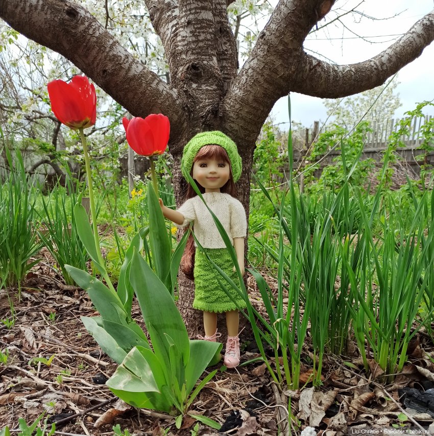 Весна. Тюльпаны. Бэлла | Бэйбики Весна. Тюльпаны. Бэлла — Куклы Ruby Red (Руби Ред) Fashion Friends: Siblies (фото 7)