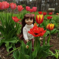 Весна. Тюльпаны. Бэлла.