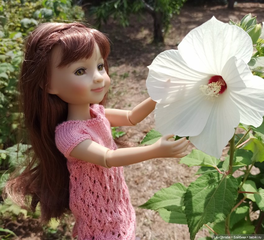 Лето 2023 | Бэйбики Лето 2023 — Куклы Ruby Red (Руби Ред) Fashion Friends: Siblies (фото 7)