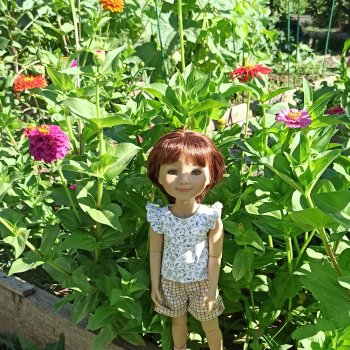 Лето 2024 и Белка