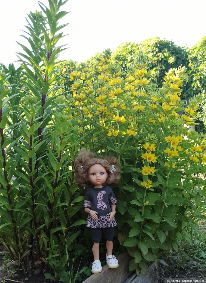 Лера и майские фотографии (фото 8)