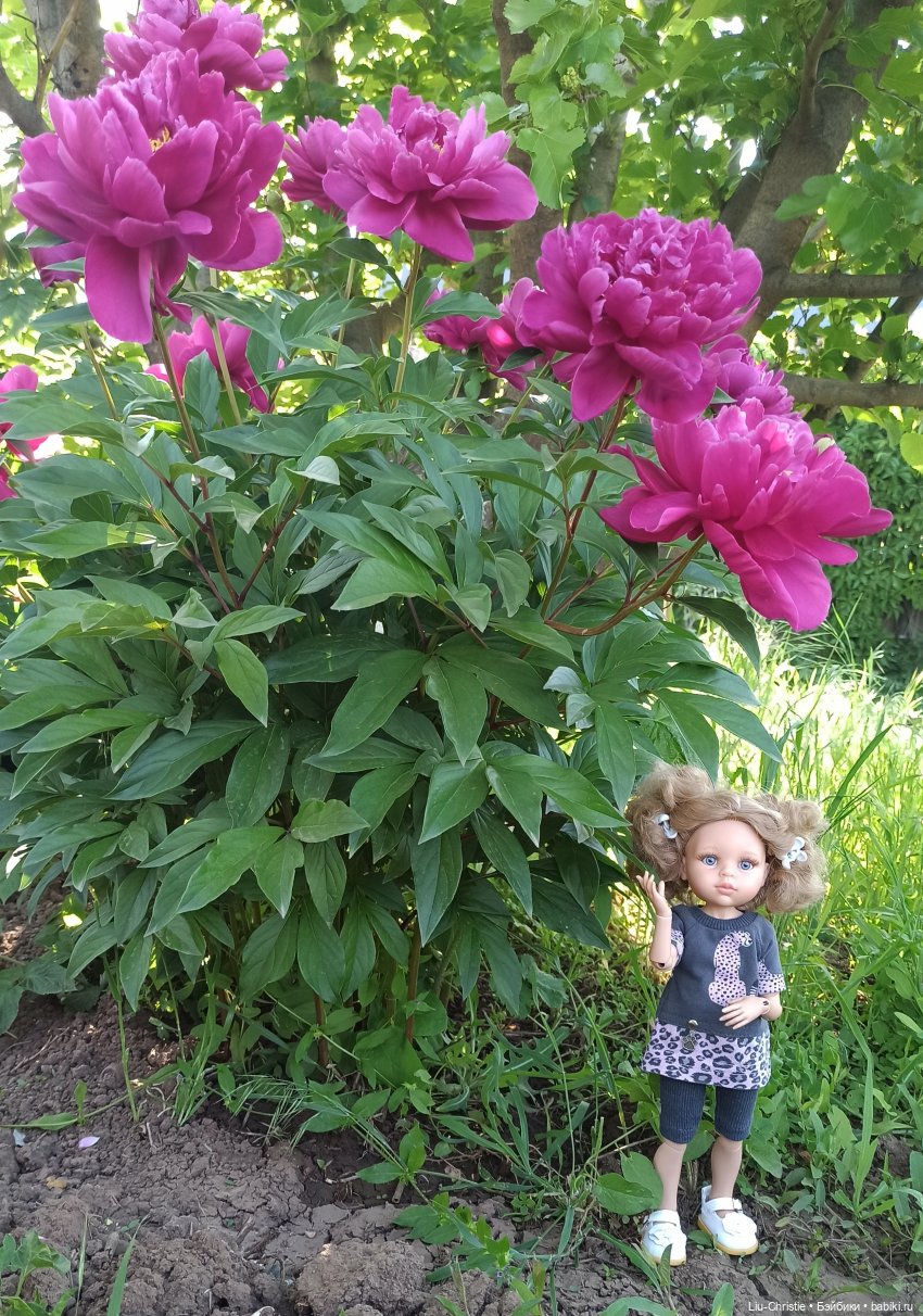 Лера и майские фотографии