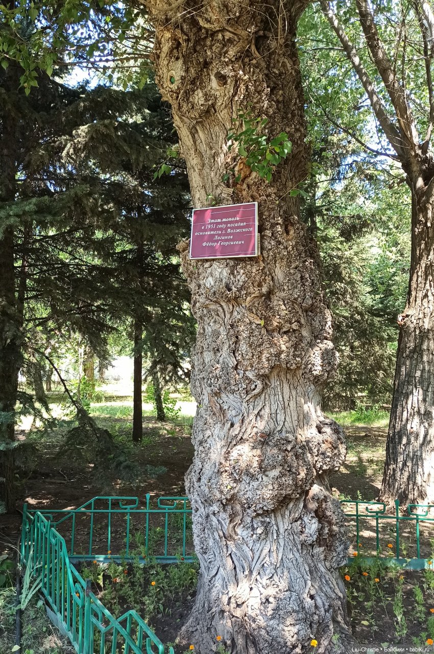 Прогулка Вики по парку — Куклы Ruby Red (Руби Ред) Fashion Friends: Siblies