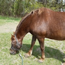 Надо выговорится.