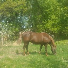 Нам лучше,  но еще страшно.