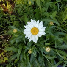 Как отправить посылку из Штатов в Москву .