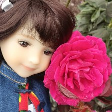 Августовский вечер с Софи