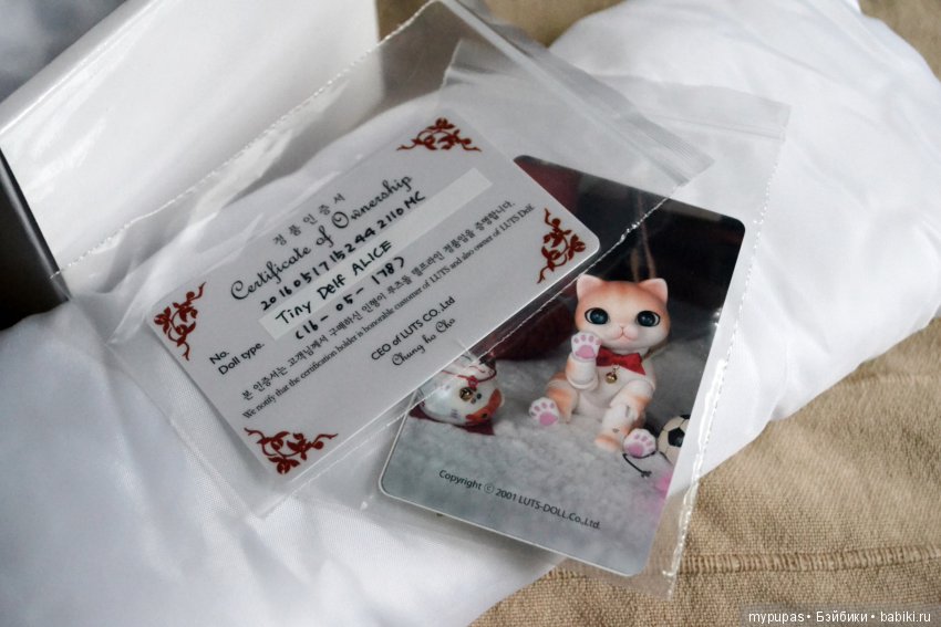 Милый, давай заведем ребёнка? :D Ура, моя шоколадная мечта сбылась - Tiny delf Alice в скинтоне Brown :P (фото 3)