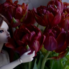 Девочка, которая скучает дома. Или история одного лепестка..)