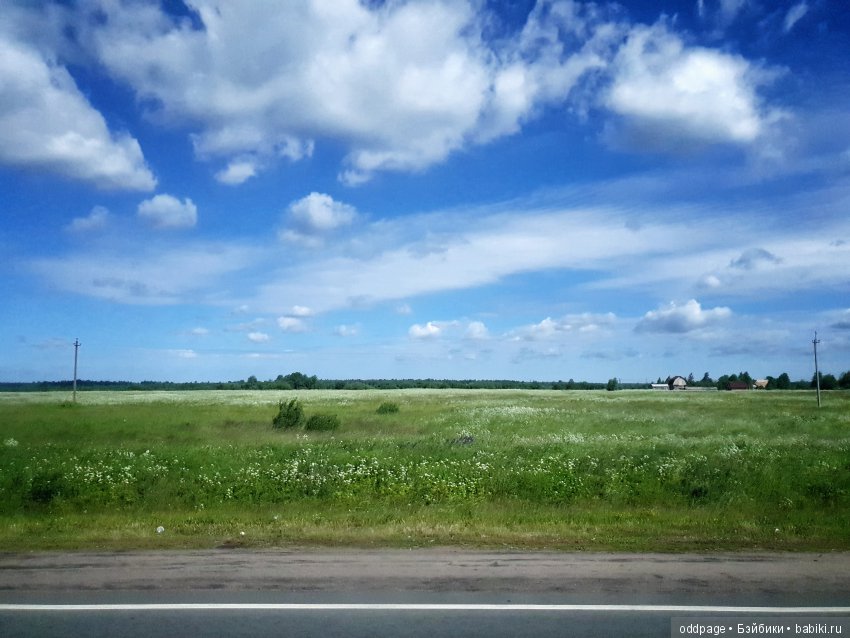 Моя новенькая Лилу, старушка Какао и странные места моего детства (фото 4)