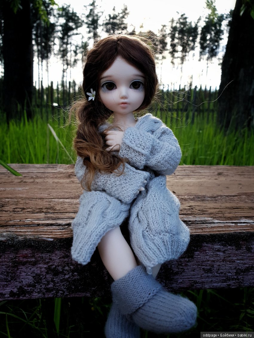 Моя новенькая Лилу, старушка Какао и странные места моего детства