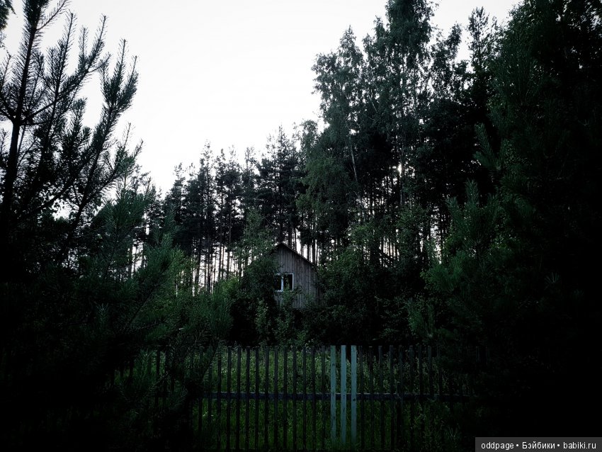 Моя новенькая Лилу, старушка Какао и странные места моего детства