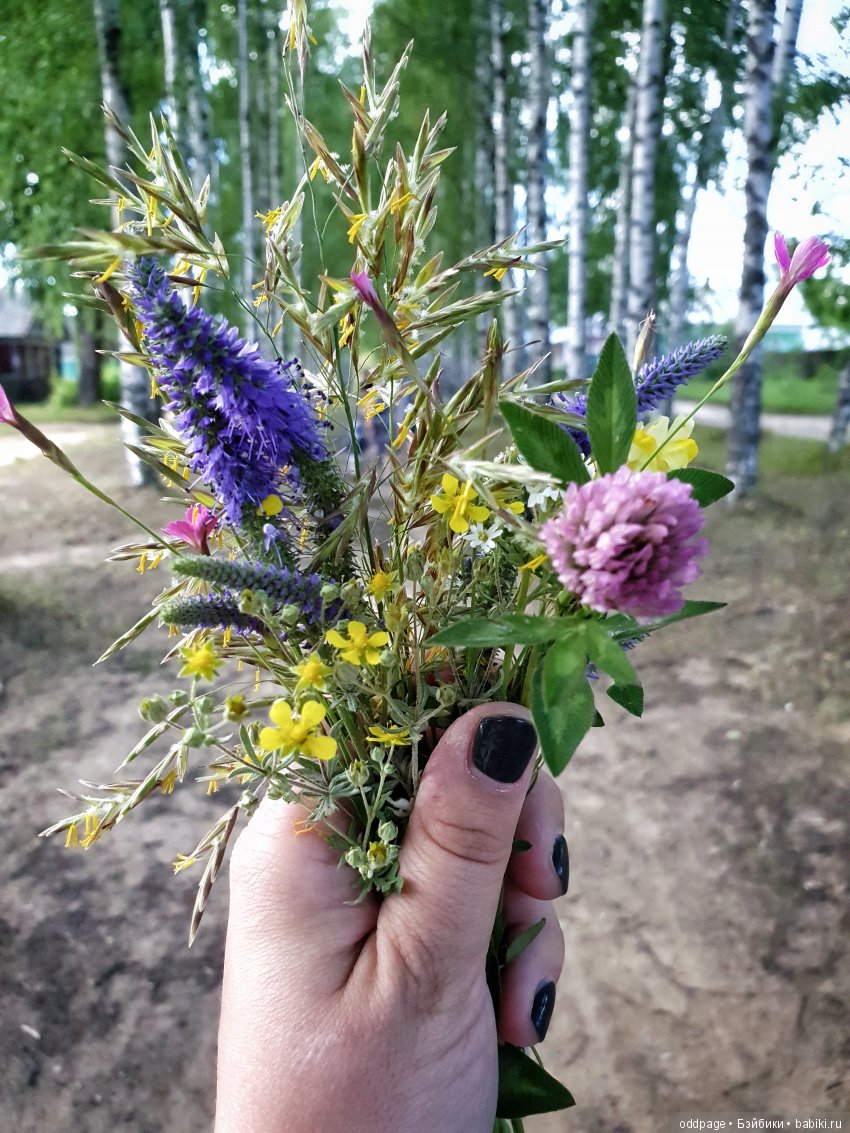 Моя новенькая Лилу, старушка Какао и странные места моего детства (фото 9)