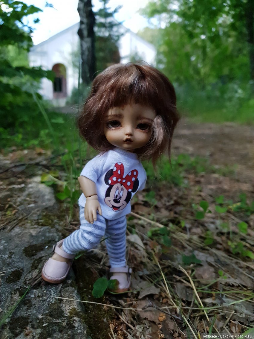 Моя новенькая Лилу, старушка Какао и странные места моего детства