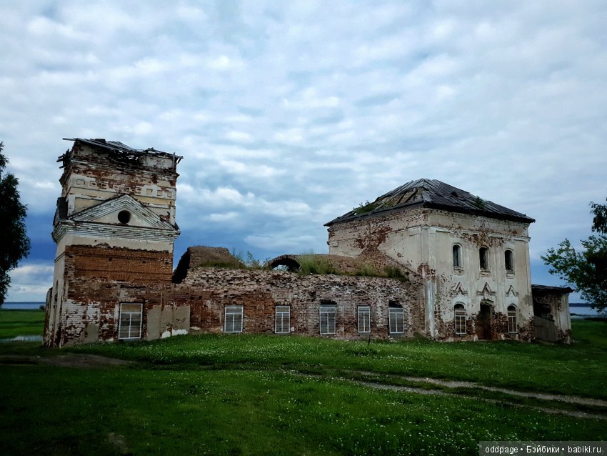Моя новенькая Лилу, старушка Какао и странные места моего детства
