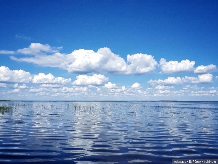 Моя новенькая Лилу, старушка Какао и странные места моего детства