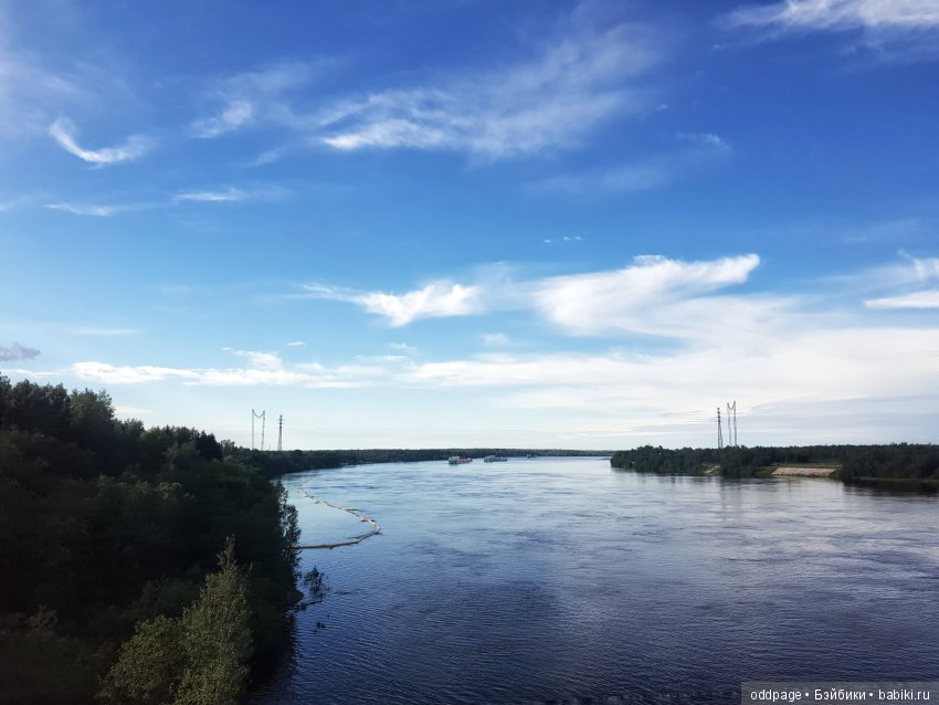 Моя новенькая Лилу, старушка Какао и странные места моего детства