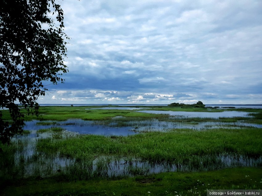 Моя новенькая Лилу, старушка Какао и странные места моего детства