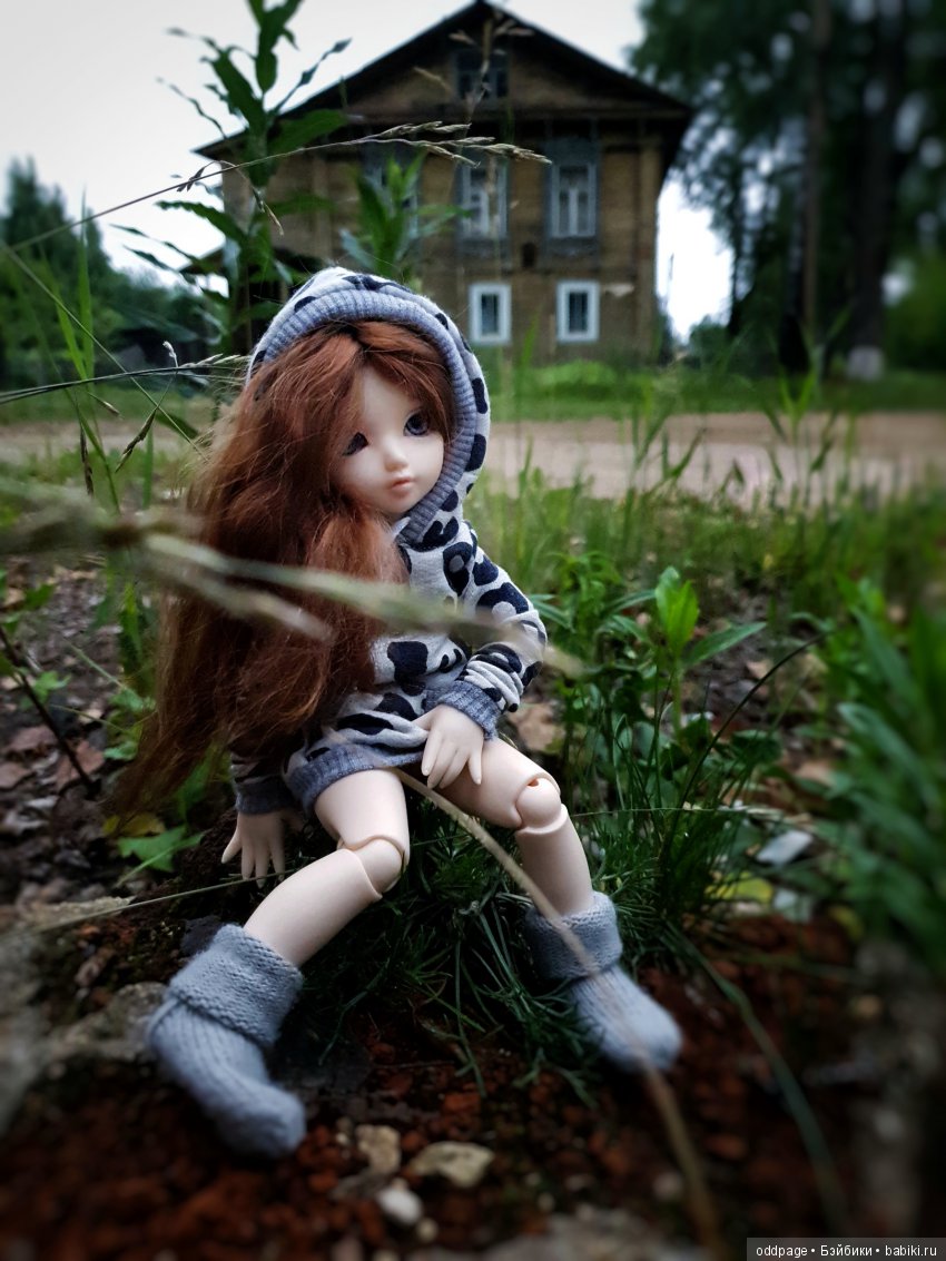 Моя новенькая Лилу, старушка Какао и странные места моего детства