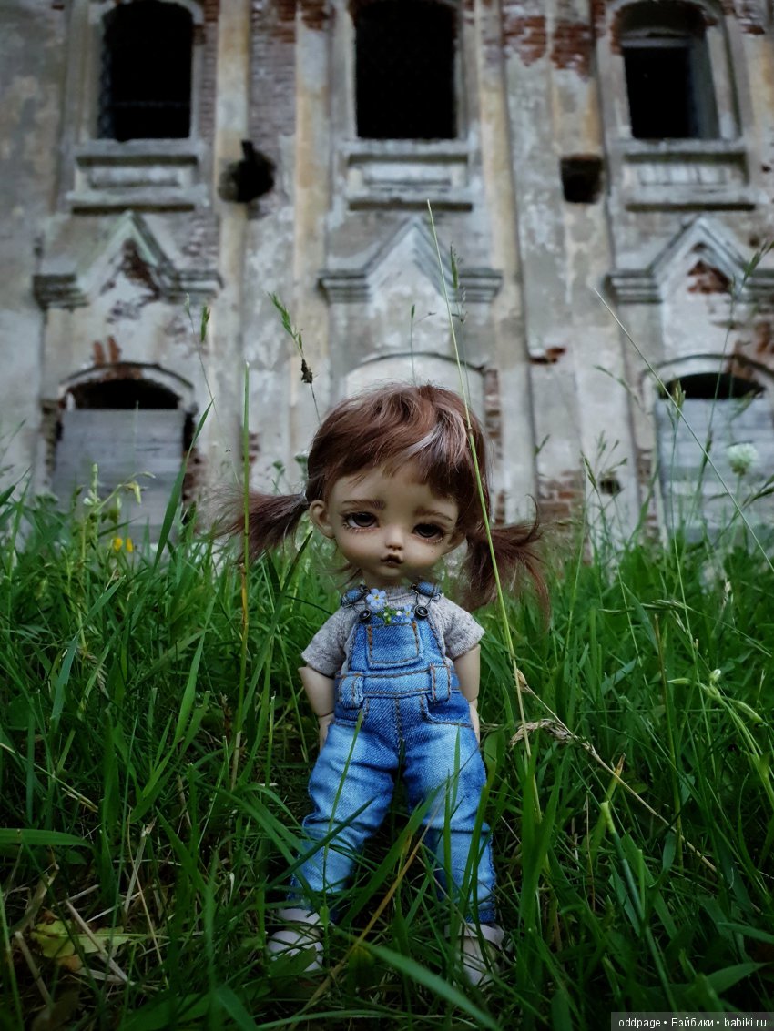 Моя новенькая Лилу, старушка Какао и странные места моего детства