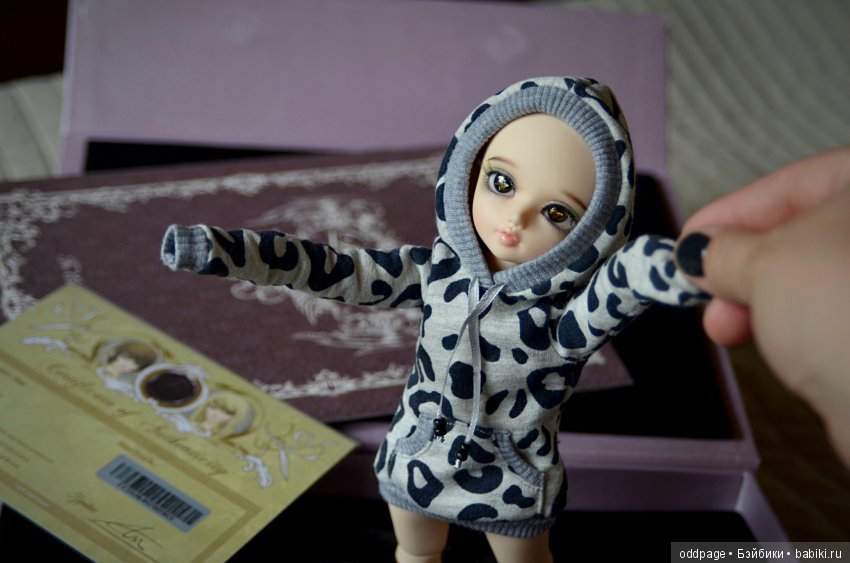 Моя новенькая Лилу, старушка Какао и странные места моего детства