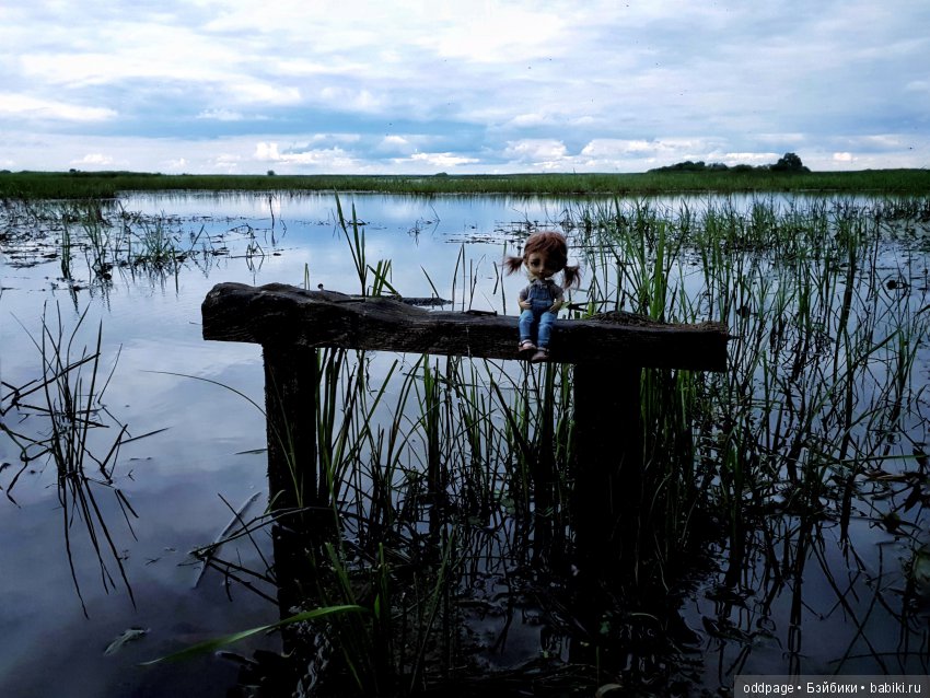 Моя новенькая Лилу, старушка Какао и странные места моего детства