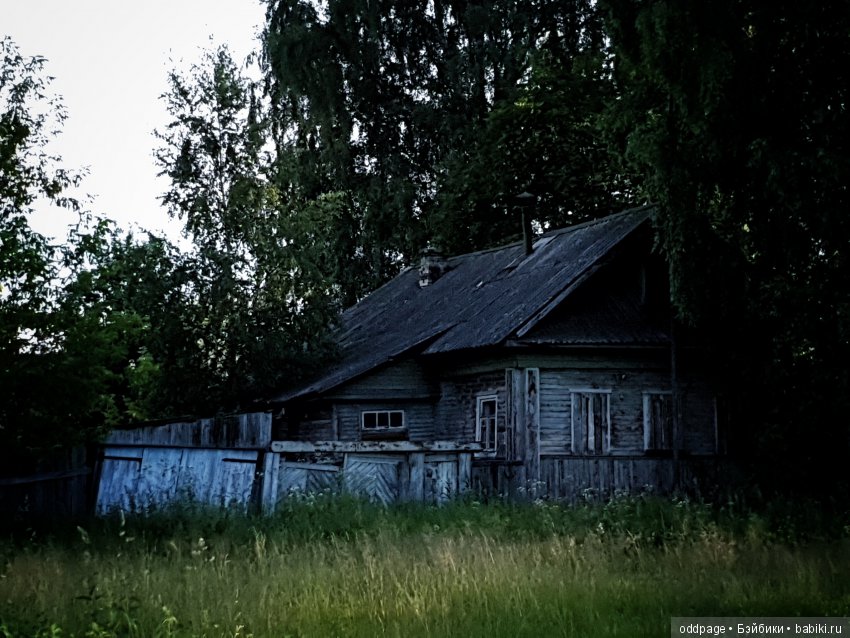 Моя новенькая Лилу, старушка Какао и странные места моего детства